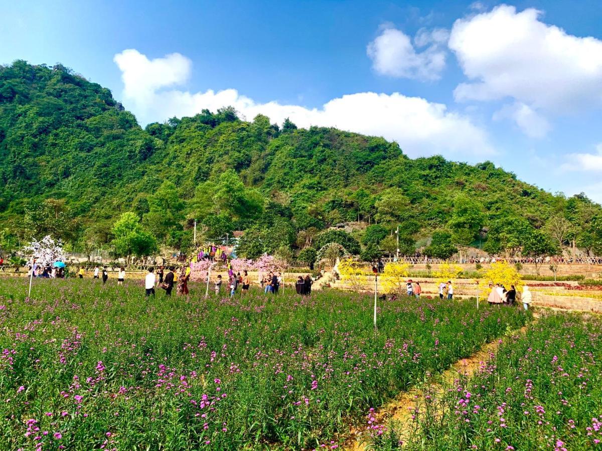 Tuan Nam Homestay Ninh Binh Exterior photo