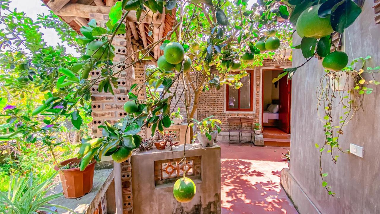 Tuan Nam Homestay Ninh Binh Exterior photo