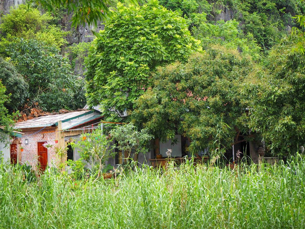 Tuan Nam Homestay Ninh Binh Exterior photo
